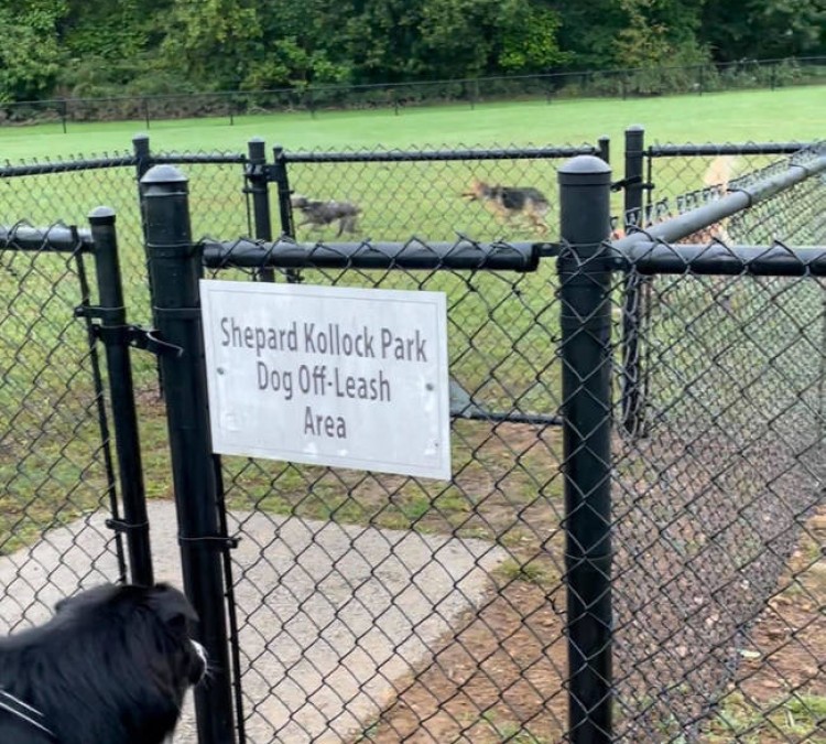 Shepard Kollock Park Dog Off-Leash Area (Chatham,&nbspNJ)